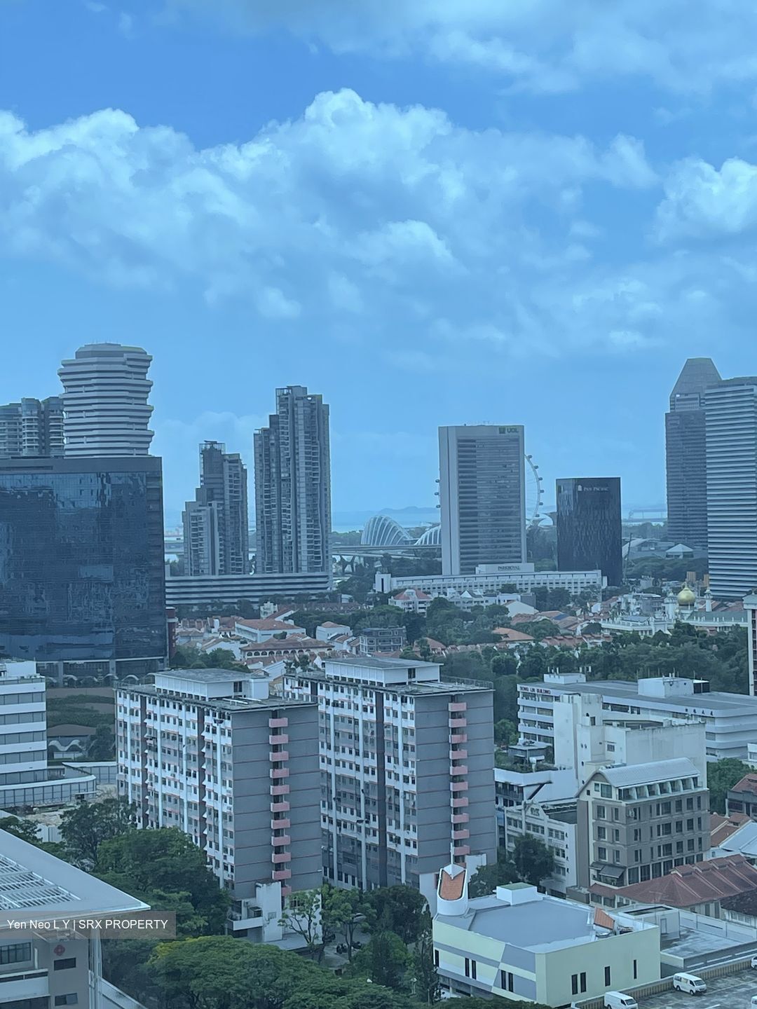 City Square Residences (D8), Condominium #395408321